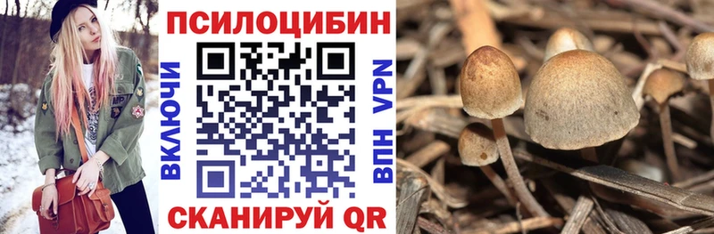 Галлюциногенные грибы прущие грибы  Урай 